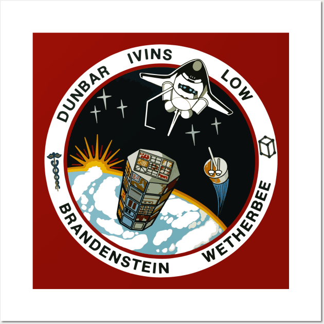 NASA STS-32 Columbia Mission Patch Wall Art by Mandra